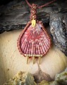 Ręcznie wykonany naszyjnik z naturalną muszlą w technice mikromakramy. Biżuteria handmade w stylu boho z rudym sznurkiem i złotymi zawieszkami. Talizman inspirowany naturą i morzem.
